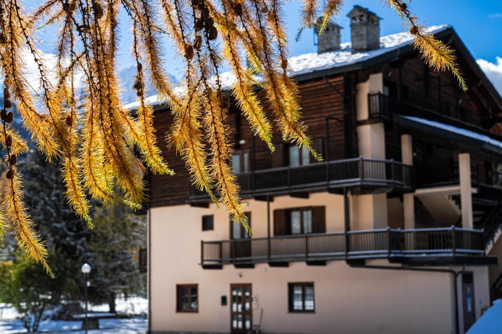 Alpine Forest Hotel 尚波吕克 外观 照片